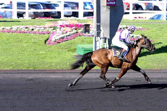 Photo d'arrivée de la course pmu PRIX DE CAUSSADE à PARIS-VINCENNES le Mardi 16 février 2016