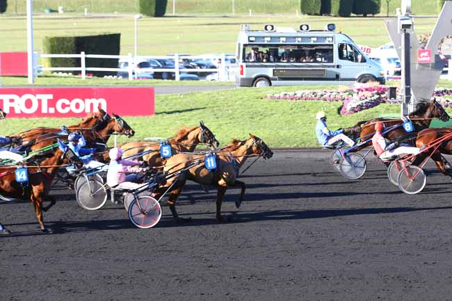 Photo d'arrivée de la course pmu PRIX DU MESLE à PARIS-VINCENNES le Mardi 16 février 2016