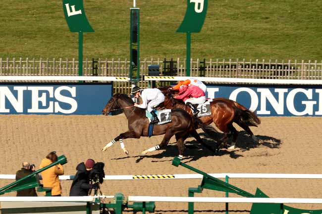 Photo d'arrivée de la course pmu PRIX DU LAY DU PRIEURE à CHANTILLY le Mardi 16 février 2016