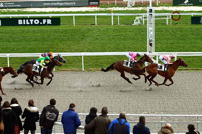 Photo d'arrivée de la course pmu PRIX WERNER BALTROMEI à CAGNES-SUR-MER le Mercredi 17 février 2016
