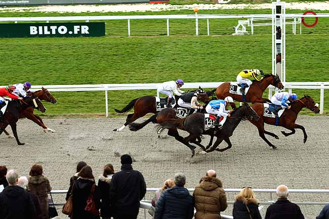Photo d'arrivée de la course pmu PRIX DES CHEVREFEUILLES à CAGNES-SUR-MER le Mercredi 17 février 2016