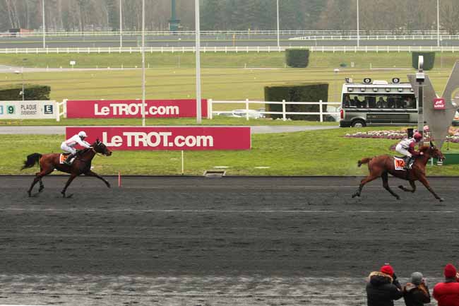 Photo d'arrivée de la course pmu PRIX HOLLY DU LOCTON à PARIS-VINCENNES le Jeudi 18 février 2016
