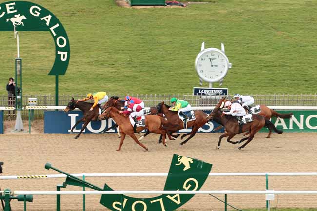 Photo d'arrivée de la course pmu PRIX DU CARREFOUR DE LA MUETTE à CHANTILLY le Vendredi 19 février 2016