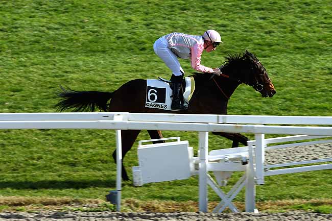 Photo d'arrivée de la course pmu PRIX DU BORD DE MER à CAGNES-SUR-MER le Samedi 20 février 2016