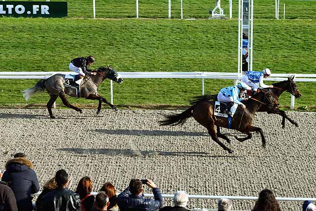 Photo d'arrivée de la course pmu PRIX SAONOIS à CAGNES-SUR-MER le Samedi 20 février 2016