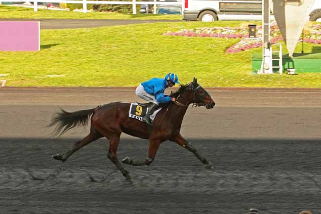 Photo d'arrivée de la course pmu PRIX DE RUGLES à PARIS-VINCENNES le Mardi 23 février 2016