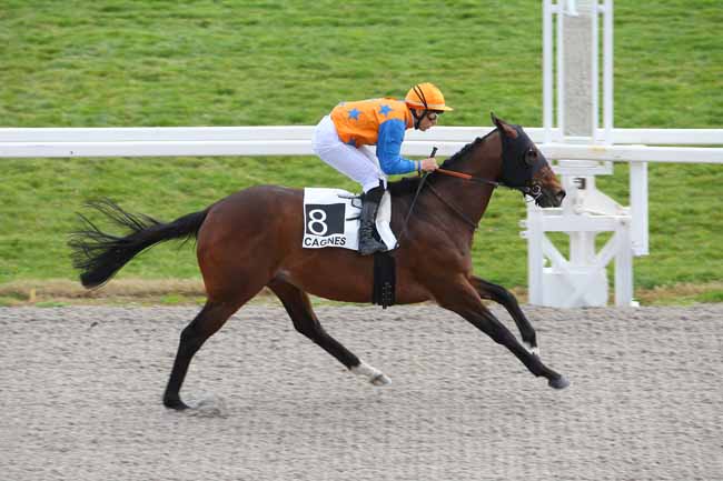 Photo d'arrivée de la course pmu PRIX DE DRAGUIGNAN à CAGNES-SUR-MER le Mercredi 24 février 2016