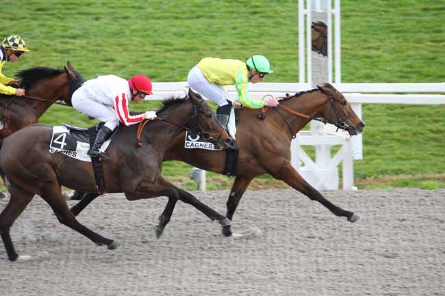 Photo d'arrivée de la course pmu PRIX DE MOUGINS à CAGNES-SUR-MER le Mercredi 24 février 2016