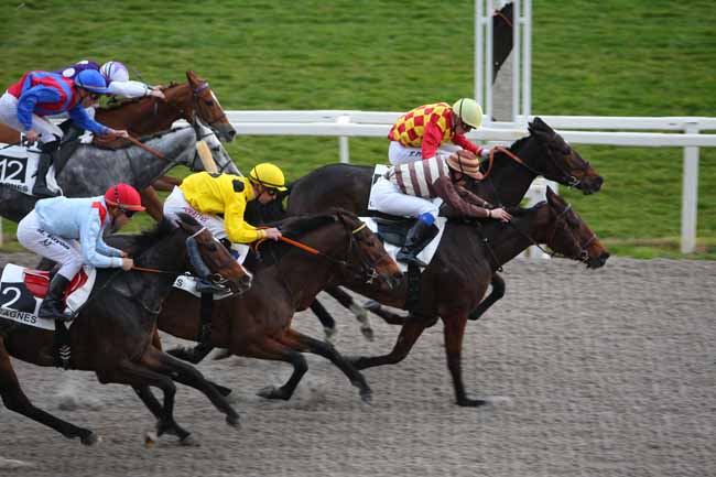 Photo d'arrivée de la course pmu PRIX DE FONTVIEILLE à CAGNES-SUR-MER le Mercredi 24 février 2016