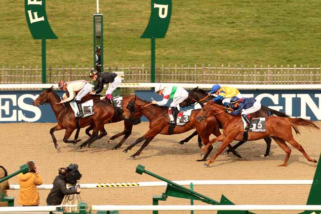 Photo d'arrivée de la course pmu PRIX DU CHEMIN SAINT-CHRISTOPHE à CHANTILLY le Vendredi 26 février 2016