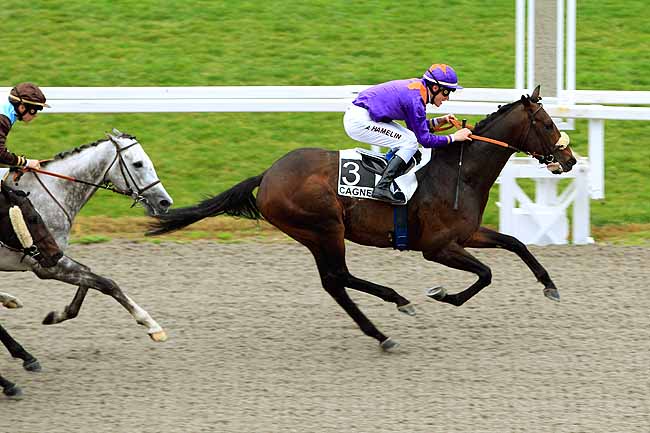 Photo d'arrivée de la course pmu PRIX JACQUES BOUCHARA à CAGNES-SUR-MER le Samedi 27 février 2016