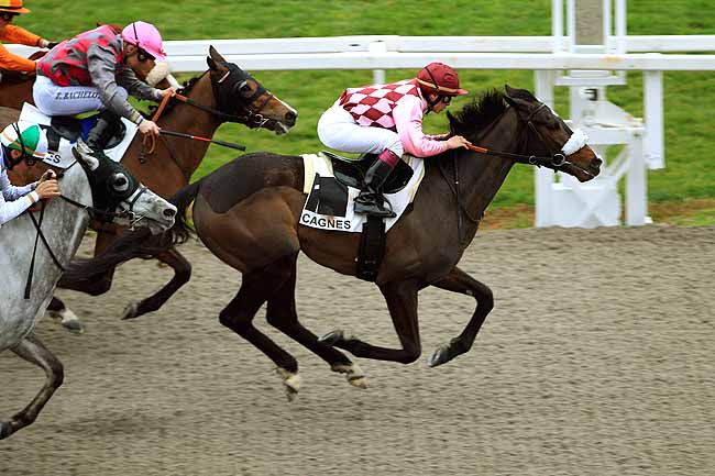 Photo d'arrivée de la course pmu PRIX JACQUES GELIOT à CAGNES-SUR-MER le Samedi 27 février 2016