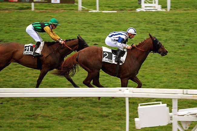 Photo d'arrivée de la course pmu PRIX GALIBIER à CAGNES-SUR-MER le Samedi 27 février 2016