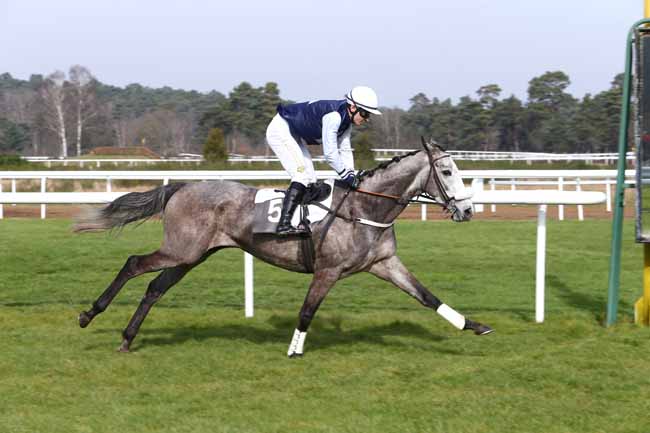 Photo d'arrivée de la course pmu PRIX DE LA SOCIETE DES COURSES DE PAU à FONTAINEBLEAU le Samedi 27 février 2016