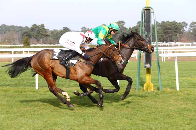 Photo d'arrivée de la course pmu PRIX GENERAL MARION à FONTAINEBLEAU le Samedi 27 février 2016
