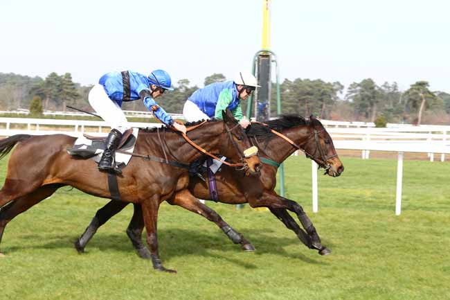 Photo d'arrivée de la course pmu PRIX MAURICE GILLOIS à FONTAINEBLEAU le Samedi 27 février 2016