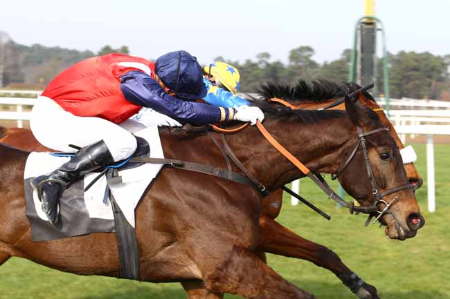 Photo d'arrivée de la course pmu PRIX DU CANTON DE FONTAINEBLEAU à FONTAINEBLEAU le Samedi 27 février 2016