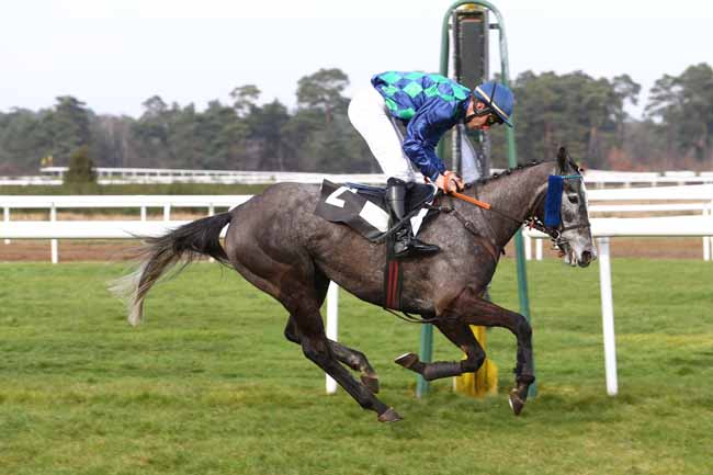 Photo d'arrivée de la course pmu PRIX DE LA SOCIETE DES COURSES DE CRAON à FONTAINEBLEAU le Samedi 27 février 2016