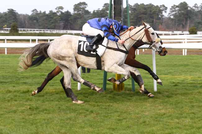 Photo d'arrivée de la course pmu PRIX DE LA COMMUNAUTE DE COMMUNES DU PAYS DE FONTAINEBLEAU à FONTAINEBLEAU le Samedi 27 février 2016