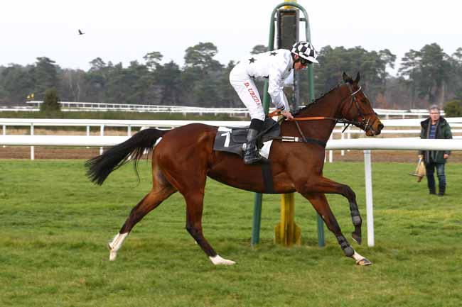 Photo d'arrivée de la course pmu PRIX DU CONSEIL MUNICIPAL DE CHAILLY-EN-BIERE à FONTAINEBLEAU le Samedi 27 février 2016