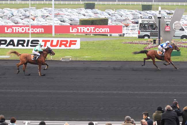 Photo d'arrivée de la course pmu PRIX VIVIER DE MONTFORT - PRIX PARIS-TURF à PARIS-VINCENNES le Dimanche 28 février 2016