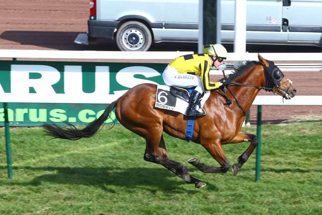 Photo d'arrivée de la course pmu PRIX DE CARRO à MARSEILLE-BORELY le Lundi 29 février 2016