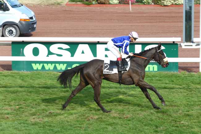 Photo d'arrivée de la course pmu PRIX DE CARRY à MARSEILLE-BORELY le Lundi 29 février 2016