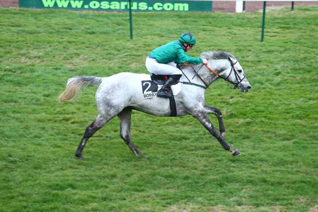Photo d'arrivée de la course pmu PRIX DE LA PLANCHE à MARSEILLE-BORELY le Lundi 29 février 2016