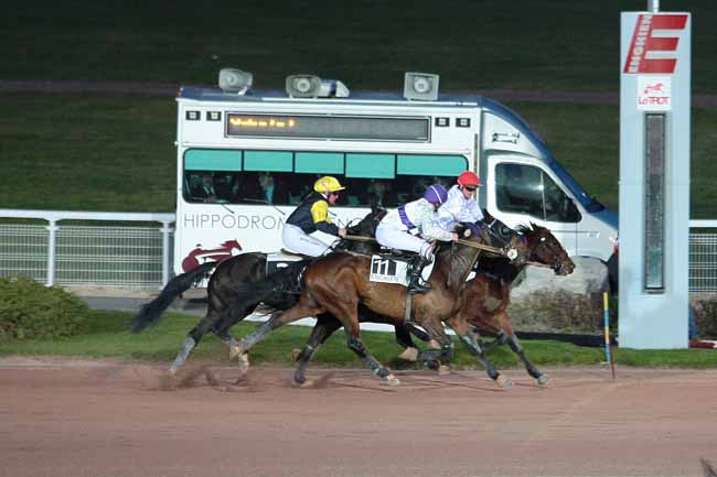 Photo d'arrivée de la course pmu PRIX DE FENAIN à ENGHIEN le Lundi 29 février 2016