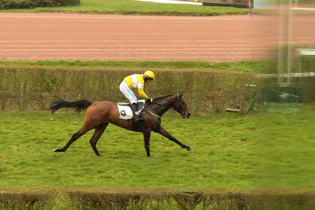 Photo d'arrivée de la course pmu PRIX BOUGIE à ENGHIEN le Mardi 1 mars 2016