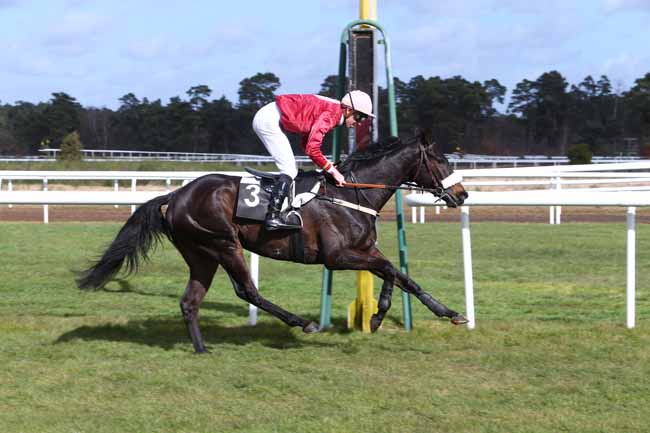 Photo d'arrivée de la course pmu PRIX JACQUES GELIOT à FONTAINEBLEAU le Mercredi 2 mars 2016