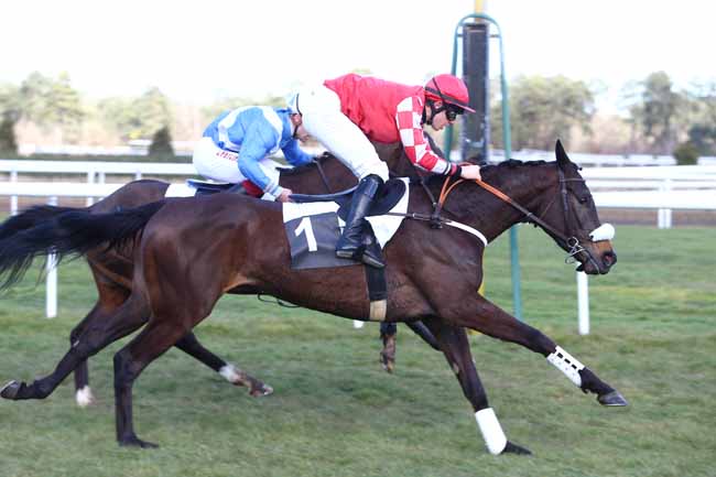 Photo d'arrivée de la course pmu PRIX DE LA SOCIETE DES COURSES DU PIN à FONTAINEBLEAU le Mercredi 2 mars 2016