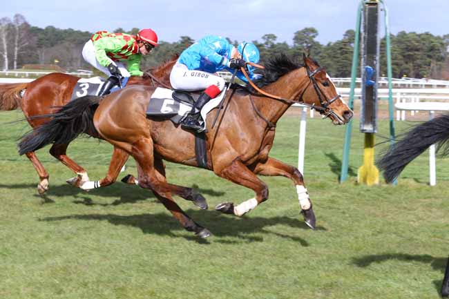 Photo d'arrivée de la course pmu PRIX CAPITAINE LABONDE à FONTAINEBLEAU le Mercredi 2 mars 2016
