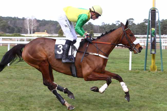 Photo d'arrivée de la course pmu PRIX DES DAGUETS à FONTAINEBLEAU le Mercredi 2 mars 2016