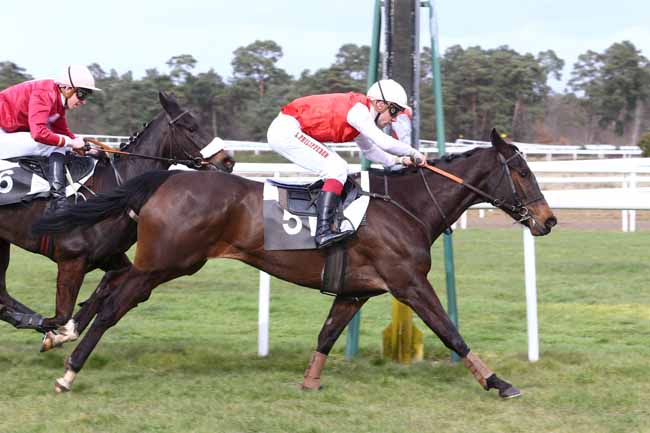 Photo d'arrivée de la course pmu PRIX DE BOULIGNY à FONTAINEBLEAU le Mercredi 2 mars 2016