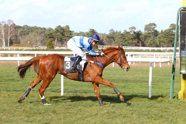 Photo d'arrivée de la course pmu PRIX COLONEL JEAN DE ROYER à FONTAINEBLEAU le Mercredi 2 mars 2016
