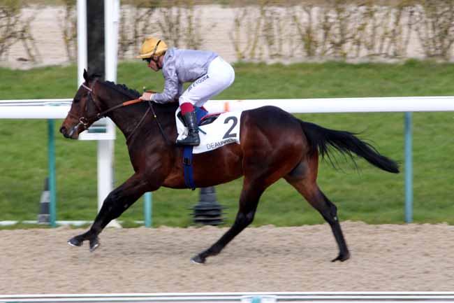 Photo d'arrivée de la course pmu PRIX D'AURIGNY à DEAUVILLE le Vendredi 4 mars 2016