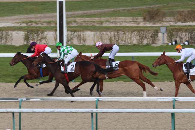Photo d'arrivée de la course pmu PRIX D'ALDERNEY à DEAUVILLE le Vendredi 4 mars 2016