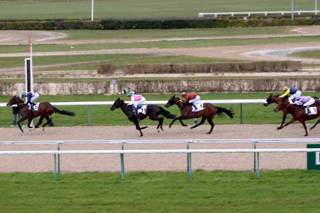 Photo d'arrivée de la course pmu PRIX DE DOUVILLE à DEAUVILLE le Vendredi 4 mars 2016