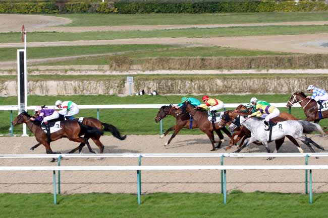 Photo d'arrivée de la course pmu PRIX DU CAP DE LA HAGUE à DEAUVILLE le Vendredi 4 mars 2016