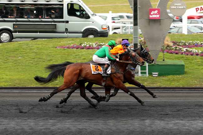 Photo d'arrivée de la course pmu PRIX LOUIS LE BOURG à PARIS-VINCENNES le Samedi 5 mars 2016