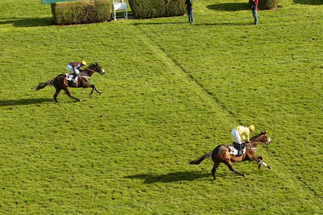 Photo d'arrivée de la course pmu PRIX JEAN DOUMEN à AUTEUIL le Dimanche 6 mars 2016