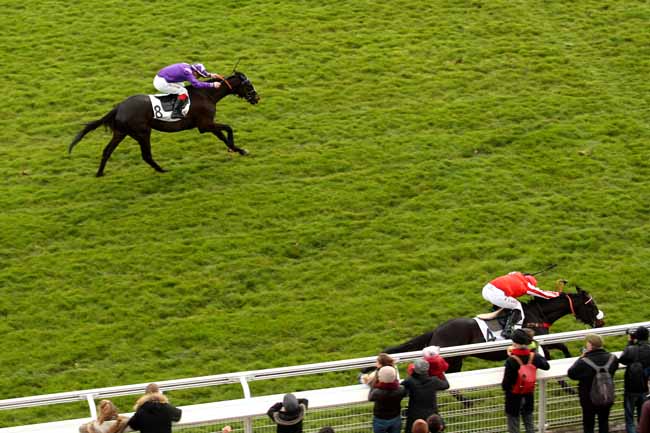 Photo d'arrivée de la course pmu PRIX JUIGNE à AUTEUIL le Dimanche 6 mars 2016