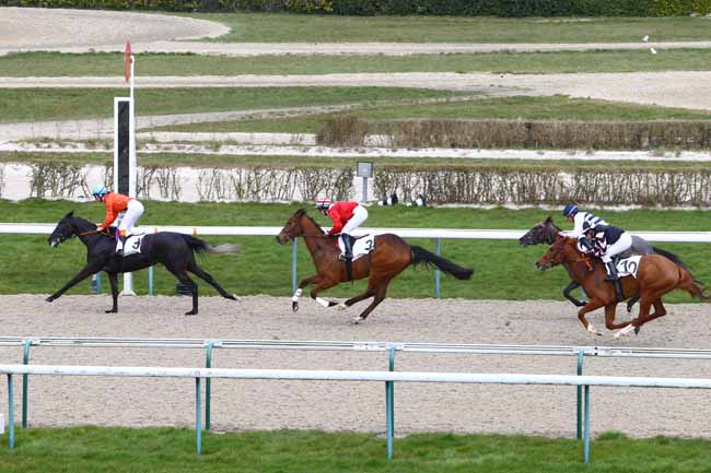 Photo d'arrivée de la course pmu PRIX LA VIE à DEAUVILLE le Mardi 8 mars 2016