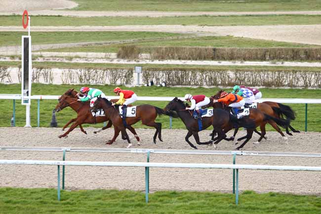 Photo d'arrivée de la course pmu PRIX DE LA PERRIERE à DEAUVILLE le Mardi 8 mars 2016