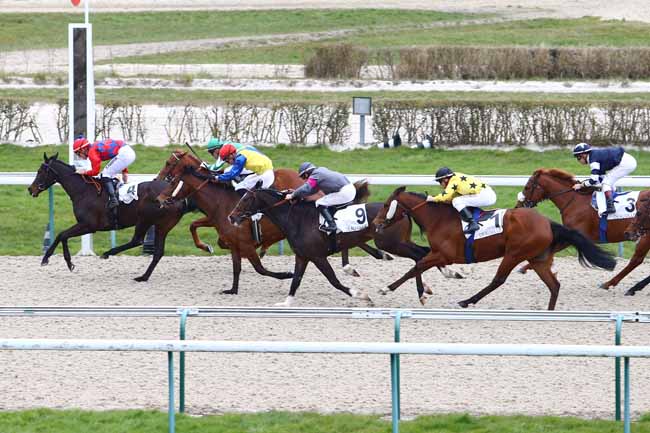 Photo d'arrivée de la course pmu PRIX DU MONT SAINT-LEGER à DEAUVILLE le Mardi 8 mars 2016