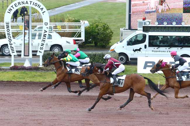 Photo d'arrivée de la course pmu PRIX BAR ''AUX CHANTS DES OISEAUX'' - AMIENS à AMIENS le Mercredi 9 mars 2016