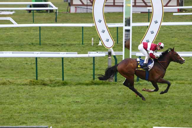 Photo d'arrivée de la course pmu PRIX DE LA FONTAINE ROCH à COMPIEGNE le Mercredi 9 mars 2016