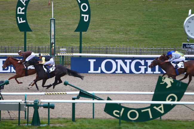 Photo d'arrivée de la course pmu PRIX DES PRAIRIES à CHANTILLY le Jeudi 10 mars 2016