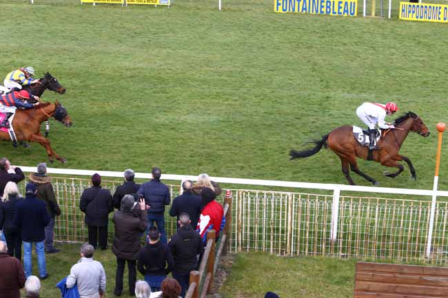 Photo d'arrivée de la course pmu PRIX DE LA SEINE ET MARNE à FONTAINEBLEAU le Vendredi 11 mars 2016